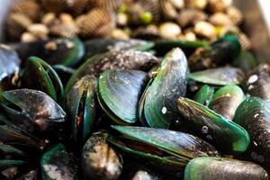 Muscheln und Herzmuscheln auf das Stall foto