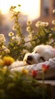ai generativ romantisch Umarmung zwischen ein Weiß Hund und es ist Inhaber Mensch und Tiere im Liebe foto