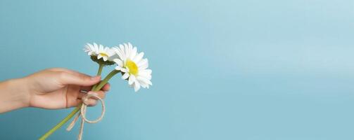 ai generativ Gänseblümchen Blume gehalten im ein Hand Frühling Jahreszeit Lebensstil Konzept foto