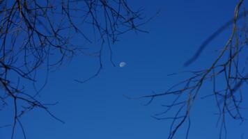 das Blau Himmel Aussicht mit das Weiß Mond und das klar Blau Himmel wie Hintergrund foto