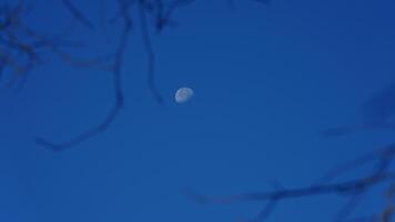 das Blau Himmel Aussicht mit das Weiß Mond und das klar Blau Himmel wie Hintergrund foto
