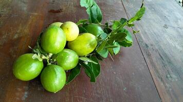 reif Zitrone Obst auf Ast mit Grün Blätter. Zitrone Obst mit Grün Blatt. natürlich Zitrone Obst schweben. frisch Gelb reif Zitronen. foto