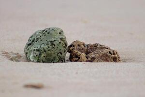 Foto von Koralle Felsen auf das Strand