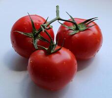 Ast mit rot reif Tomaten auf ein Weiß Oberfläche detailliert Platz Lager Foto