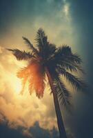 ai generiert ein tropisch Kokosnuss mit Abend Himmel foto
