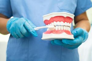 asiatisch Zahnarzt Reinigung Zähne von Dental Modell- mit Zahn Bürste zum geduldig und studieren Über Zahnheilkunde. foto