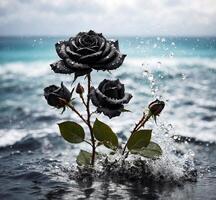 ai generiert schwarz Rosen mit Wasser Tropfen auf das Hintergrund von das Meer und Himmel foto