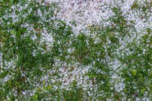 weißer eishagel auf dem grünen gras nach sommersturm foto