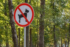 Keine Hunde erlaubt Schild an der Stange im grünen Parkwald des Sommers - Nahaufnahme mit selektivem Fokus und Hintergrund-Bokeh-Unschärfe foto