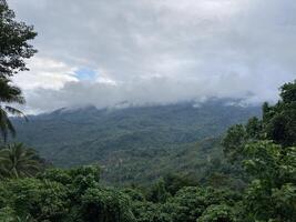 tropisch Berge bedeckt mit Urwald niedrig Wolken von Palme Bäume und tropisch Pflanzen foto