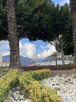 durch das Bäume und Palme Bäume, Sie können sehen das Moschee gegen das Hintergrund von Berge mit niedrig flauschige Wolken und ein Blau Himmel foto