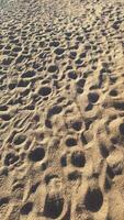 ein Strand Sand Fußabdruck Füße Impressum sandig Düne Schuh Markierungen Gehen sandig Freizeit tropisch Ferien Ozean Surfen Resort foto