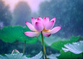 ai generiert Rosa Lotus Blüten im ein Garten Teich foto