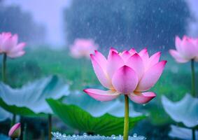 ai generiert Rosa Lotus Blüten im ein Garten Teich foto