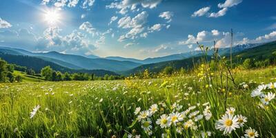 ai generiert Frühling Landschaft Panorama mit blühen Blumen auf Wiese foto