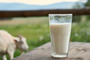 ai generiert Glas von natürlich frisch Milch auf Tabelle mit Ziege und Grün Feld Bauernhof Landschaft Sicht. foto