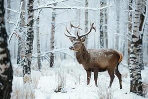 ai generiert Hirsch im das Wald im Winter. foto