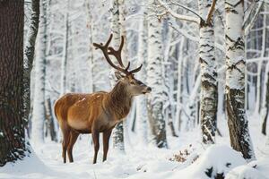 ai generiert Hirsch im das Wald im Winter. foto