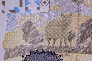 cassilandia, mato grosso do sul, brasilien, 2021 -neue zweihundert brasilianische echte banknote foto