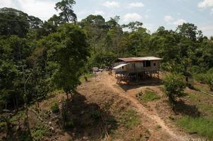 Dschungelgehöft, Amazonas-Regenwald, Ecuador foto