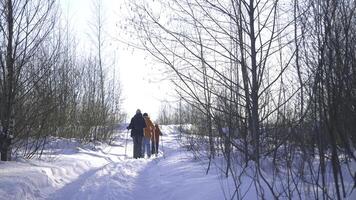 Winter Gehen mit Stöcke im Wald. kreativ. Familie Wanderung im Winter Wald auf sonnig Tag. Gehen mit Stöcke im Winter foto