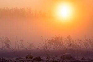 verträumter Winternebelhintergrund foto