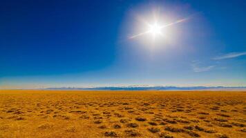 Feld bedeckt mit trocken Gras Unebenheiten mit entfernt hoch Berge auf das Horizont, breit Winkel Aussicht foto