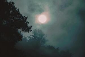 ai generiert voll Mond im das Nacht Himmel Über das Wald. foto