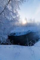 Nebeliger Winter am Flussufer am Morgen mit Sonnenschein zwischen Birken - vertikaler Rahmen foto