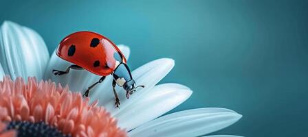 ai generiert minimalistisch abstrakt Frühling Hintergrund mit Marienkäfer auf Weiß Blume und Raum zum Text Platzierung foto