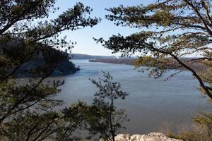 ich Liebe das aussehen von das Susquehanna Fluss Hier wie Sie Peer durch diese Baum Geäst. diese Körper von Wasser scheint zu Schlange durch das Land. ich Liebe Wie kurvig es Ist. foto