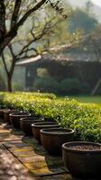 ai generiert ein still Tee Garten Pfad gefüttert mit groß Töpfe von Tee Blätter, Ideal zum Themen von Landwirtschaft, Natur, und Meditation. Vertikale Format. foto