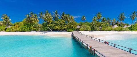 Malediven Paradies Erholungsort. tropisch Antenne Landschaft, Seelandschaft mit lange Steg, Wasser Villen mit tolle Meer und Lagune Strand, tropisch Natur. exotisch Tourismus Ziel Banner, Sommer- Ferien foto