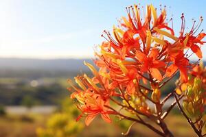 ai generiert draussen Blumen mit Text Raum foto