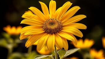 ai generiert beschwingt Gelb Gänseblümchen ein Symbol von Sommer- Schönheit im Natur foto