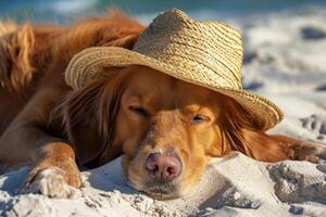 ai generiert Hund im ein Stroh Hut ruhen auf das Strand. generativ ai foto