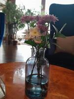 Foto von Blumen im ein Vase. perfekt zum Zeitschriften, Zeitungen und Boulevardzeitungen.