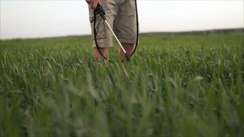 schützen Felder gegen Schädlinge, Weizen wird bearbeitet mit chemisch foto