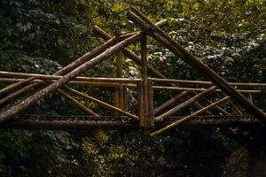 ein Brücke gemacht von Bambus im das Urwald foto