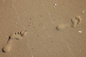 links und richtig Fußabdrücke Gehen im das Sand auf das Strand foto