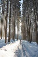 mittleren Alters Querfeldein Skifahrer alt 50-55 macht seine besitzen Spur im tief Schnee im das Wildnis im das Morgen sonnig Wetter im Beskiden Berge, Tschechisch Republik foto