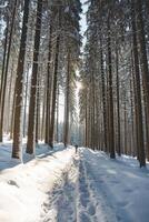 mittleren Alters Querfeldein Skifahrer alt 50-55 macht seine besitzen Spur im tief Schnee im das Wildnis im das Morgen sonnig Wetter im Beskiden Berge, Tschechisch Republik foto