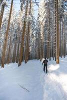 mittleren Alters Querfeldein Skifahrer alt 50-55 macht seine besitzen Spur im tief Schnee im das Wildnis im das Morgen sonnig Wetter im Beskiden Berge, Tschechisch Republik foto