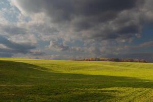 diese ist ein schön Bild von ein Feld Das scheint zu strecken für immer. das rollen Hügel von das üppig Grün Gras scheint zu glühen mit das wolkig Himmel über. fallen Laub können Sein gesehen im das Distanz. foto