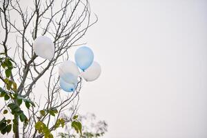 Luftballons schwebend auf das Geäst foto