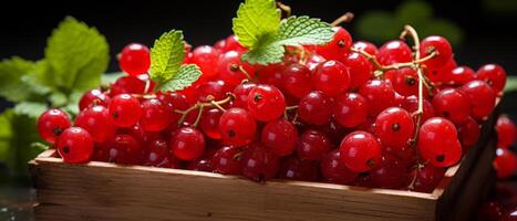 ai generiert beschwingt rot Johannisbeeren im ein hölzern Kiste gegen ein dunkel Hintergrund. foto