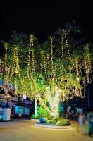 schön Baum mit Streifen Beleuchtung Bilder foto