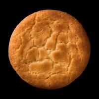 ai generiert ein klassisch Snickerdoodle Plätzchen, charakterisiert durch Sanft und zäh Textur, umhüllt im ein herrlich Zimt Zucker Beschichtung, ein perfekt Mischung von Süße und warm, wohltuend würzen foto