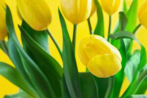 Strauß von Gelb Frühling Tulpen mit Blumen zum Geschenk auf Hintergrund. Urlaub. Mütter und International Damen, Valentinstag Tag. Kopieren Raum foto