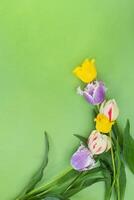 Gelb, lila, Weiß Tulpen auf Grün Hintergrund im Ecke. Urlaub, März 8, International Damen Tag, Geburtstag. Kopieren Raum foto